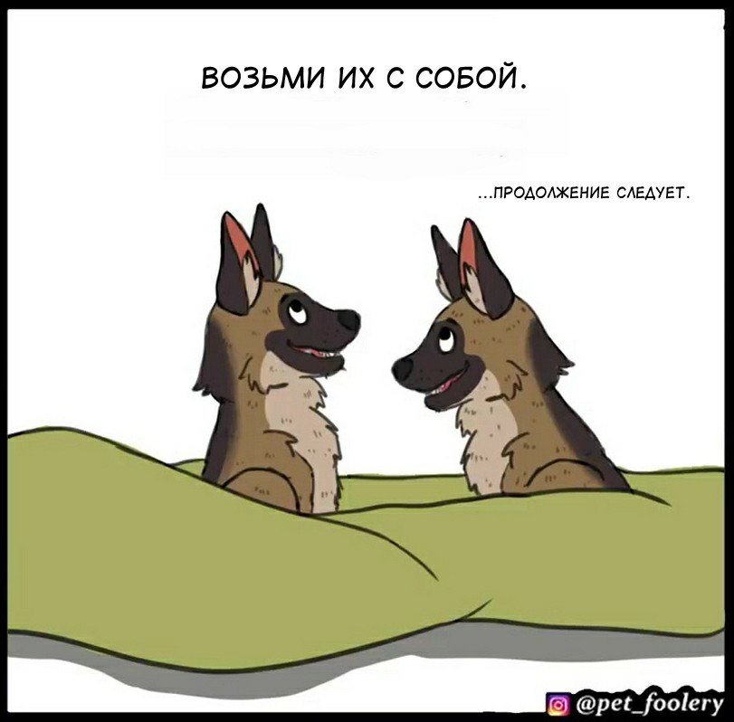 Кракен что можно купить